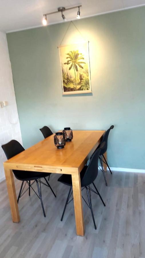 Plattedijk - Vakantiehuis 25-41 莱米尔 外观 照片