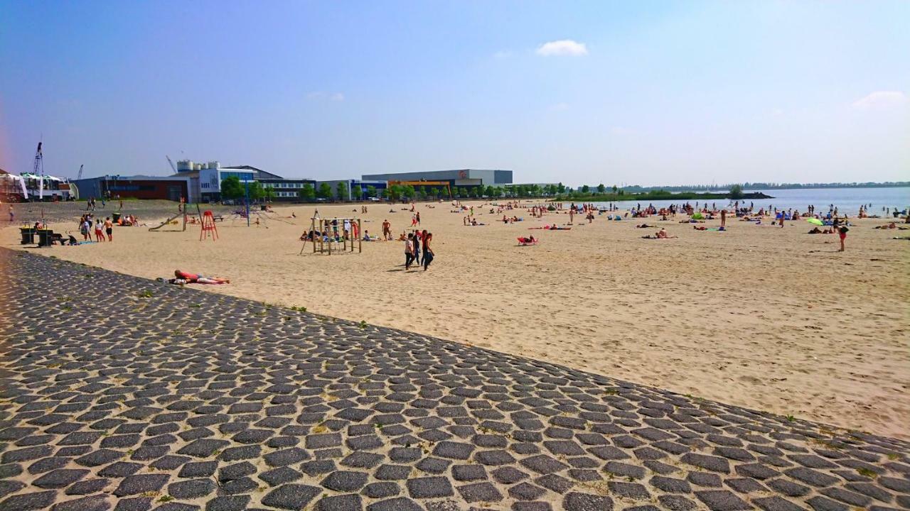 Plattedijk - Vakantiehuis 25-41 莱米尔 外观 照片